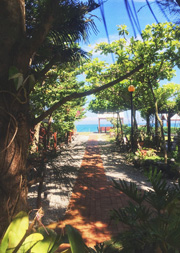 �����J-��������